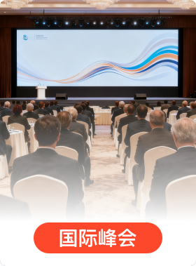 国际峰会